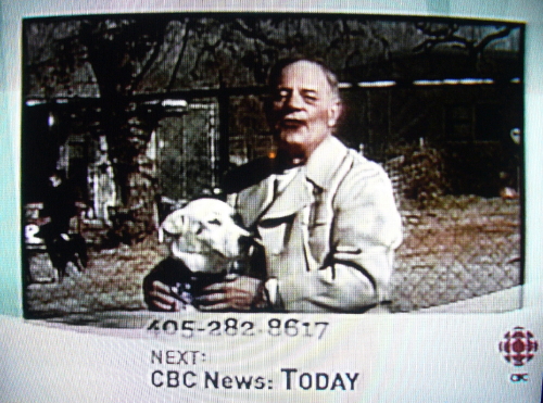 Chyron reads: Next: CBC News Today on top of another Chyron showing a phone number. Bald man with grey beard holding a dog in main picture