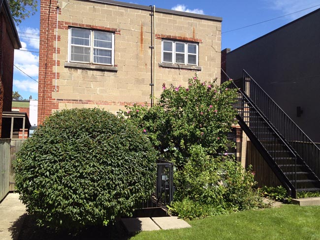 Well-trimmed shrubs and a rosebush behind two-storey square building