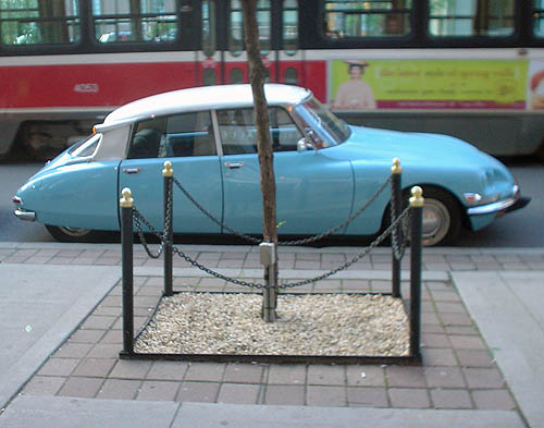 Baby-blue Citroën DS with white roof sits parked at curb between enclosed tree on sidewalk and passing streetcar