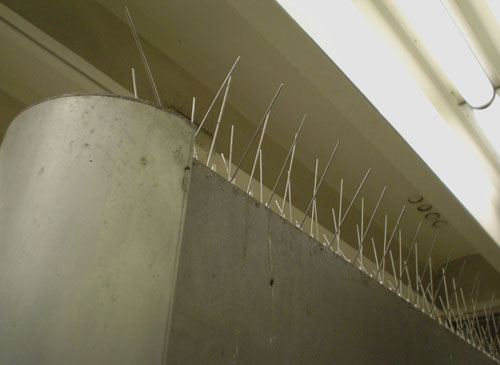 Metal sign frame ends in rounded corner and is topped by finger-length thin metal spikes at various angles