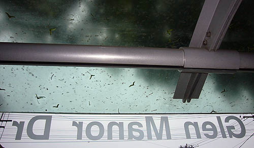 Under grey skies, the inside of a smoked-glass bus shelter shows Glen Manor Dr in backwards Helvetica