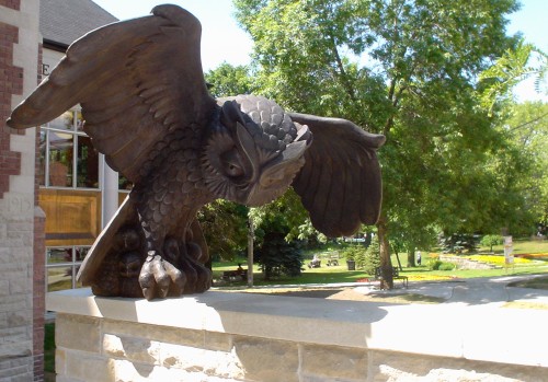 Black-coloured bronze statue of owl, with four-foot wingspan, sits on rear edge of retaining wall