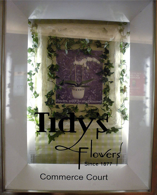 Window display case shows an inset poster reading ‘Flowers, a GIft for any Occasion!’ and live vines. The case window reads Tidy’s Flowers in hand-drawn type