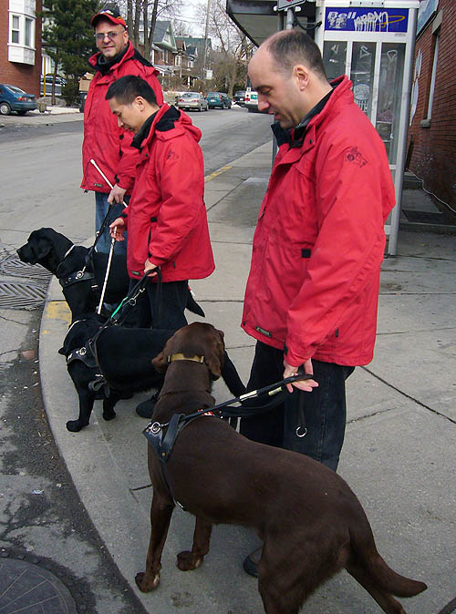 Three men in matching red jackets stand with guide dogs at a curb. One guy, in a baseball cap, looks our way