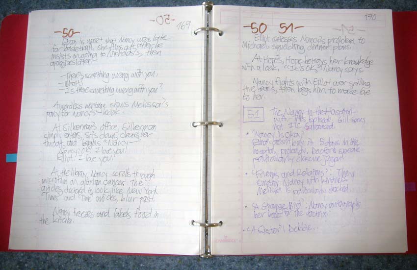 Double-page spread of handwritten notes – in two pen colours, on lined paper – in a binder