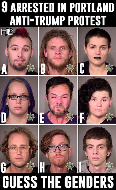 Cutline: “9 arrested in anti-Trump protest. Guess the genders.” People in mugshots variously have purple hair, dreadlocks,black lipstick