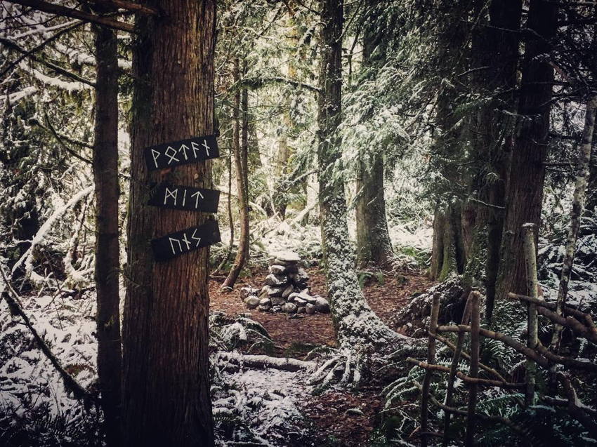 Three “words” in runes nailed to a tree in the forest