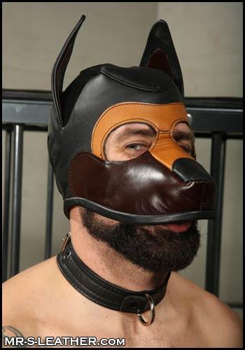 Pup hood covers face through upper lip, open below that