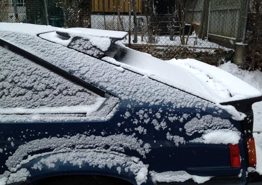 Hindquarters of a snow-covered blue Supra