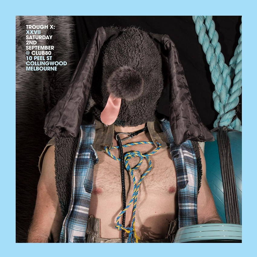 Fella in face-covering pup mask and blue plaid vest holds blue dog bowl (with blue border around photo)