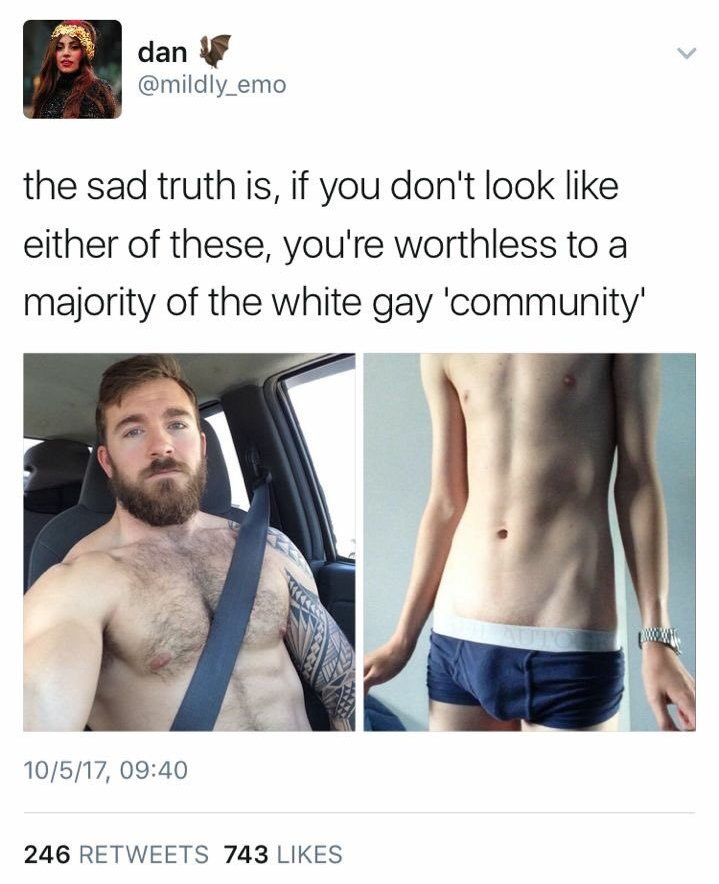 “Tweet” by Mildly_Emo (no realtion): the sad truth is, if you don’t look like either of these, you’re worthless to a majority of the white gay ‘community’ ”