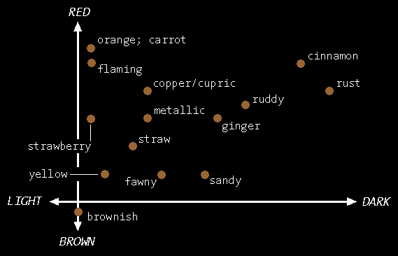 A grid showing correspondences among terms to describe redheadeness on two axes, light/dark and brown/red